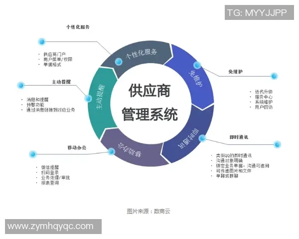 保险公司与战报的较量：如何在风险管理中实现双赢策略