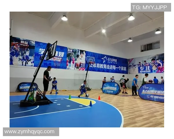 成都羽毛球队区域防守革新之路探秘与战术分析 成都羽毛球队区域防守革新之路探秘与战术分析