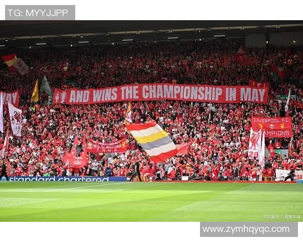 拜仁慕尼黑对阵波尔图新浪赛事分析与精彩瞬间回顾