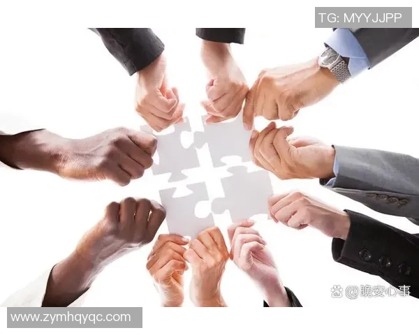 成都排球队的节奏与战术分析探讨如何提升整体表现与团队协作