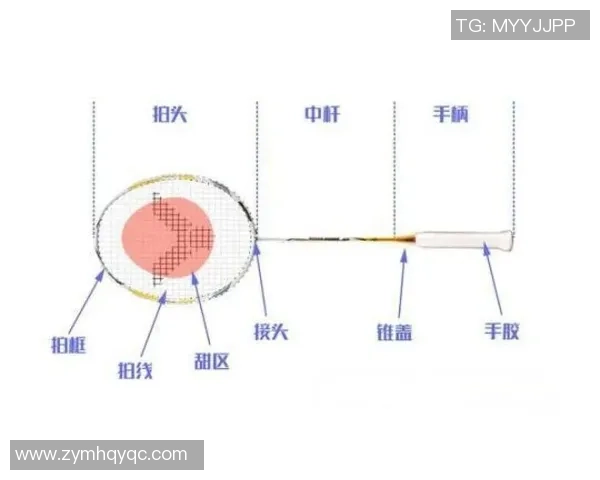 羽毛球装备选购指南：精选球拍推荐与购买技巧分享