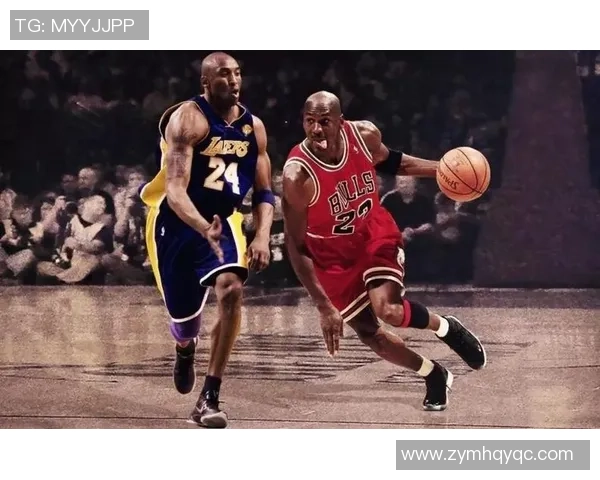 篮球明星比例分析揭示职业发展与社会影响的深刻关系