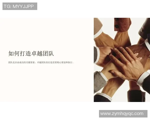 上海排球队的灵活性揭秘：如何在赛场上展现卓越技巧与团队协作